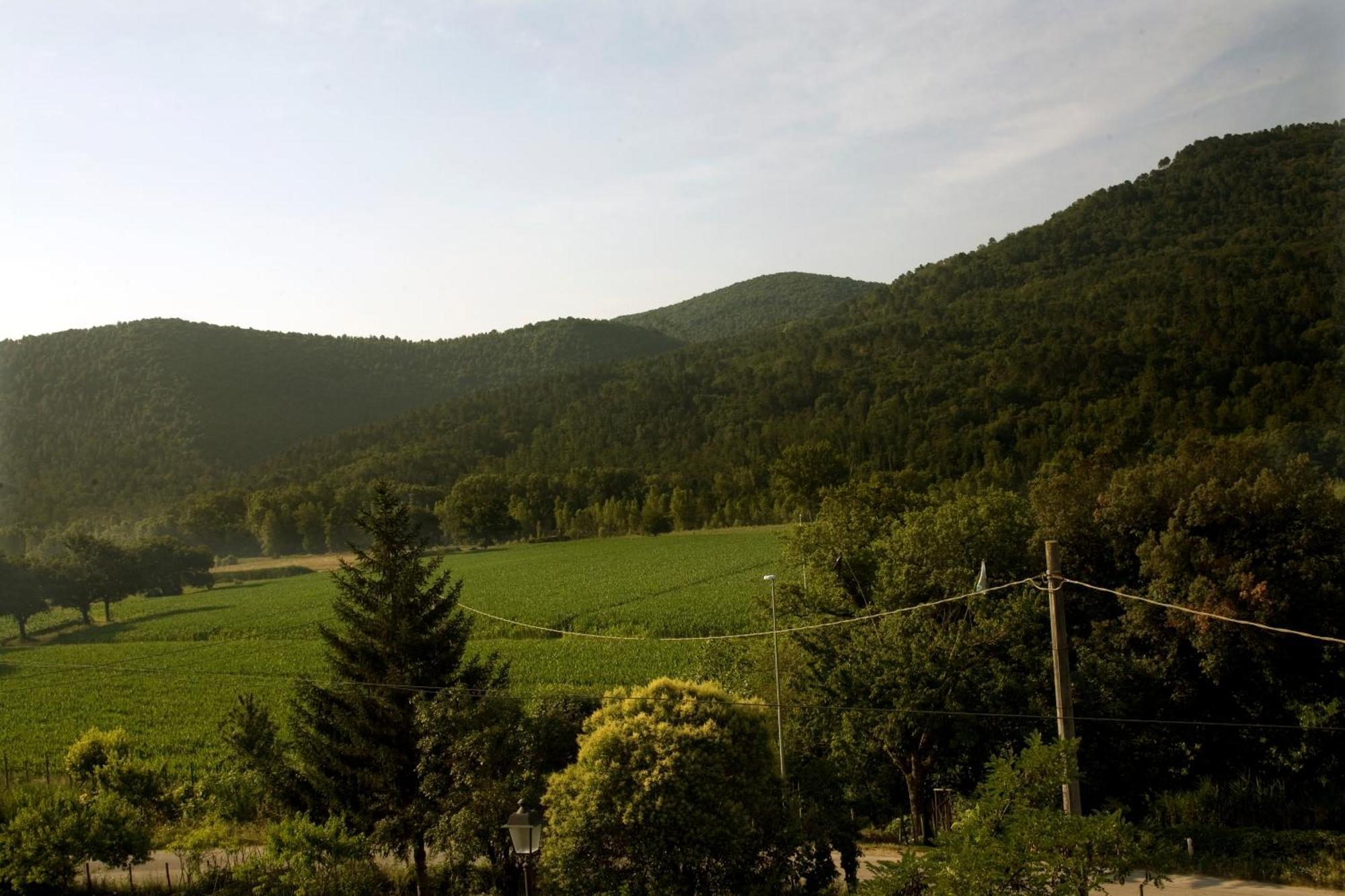 Villa Amedeo Rosia Ruang foto